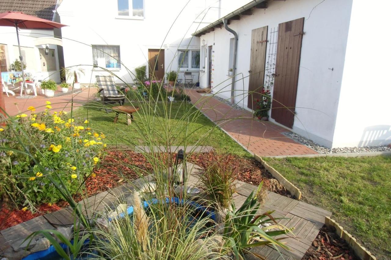 Ostseenahe Gartenidylle Eg Ribnitz-Damgarten Kültér fotó